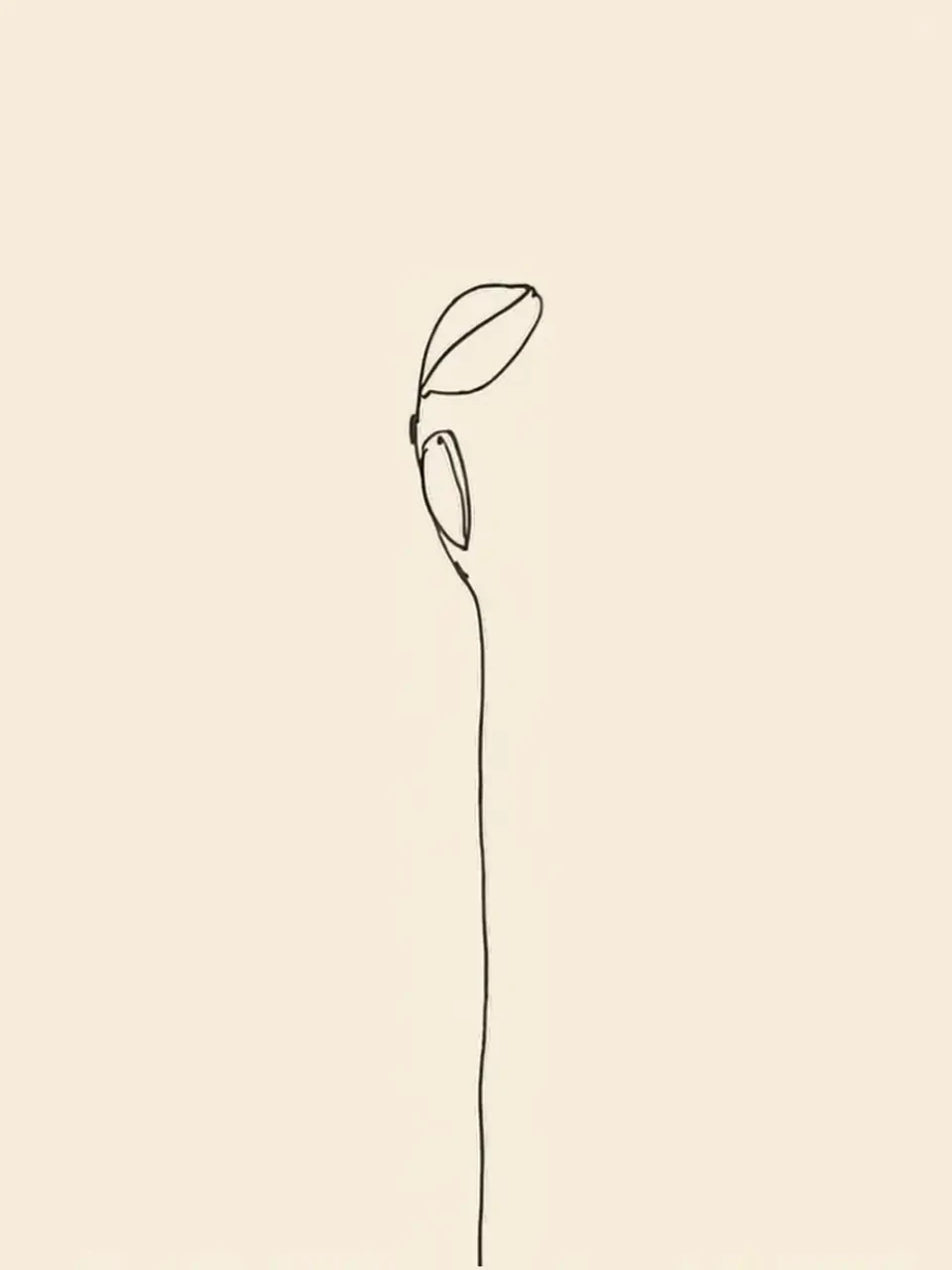 Condoléances: Dessin au trait minimaliste