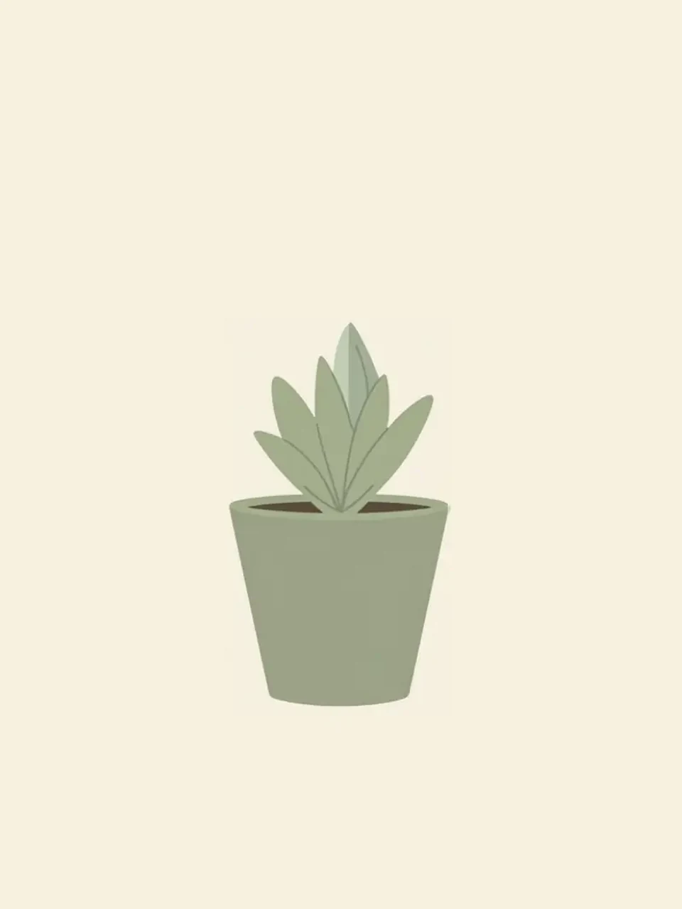 Petite succulente dans un pot vert